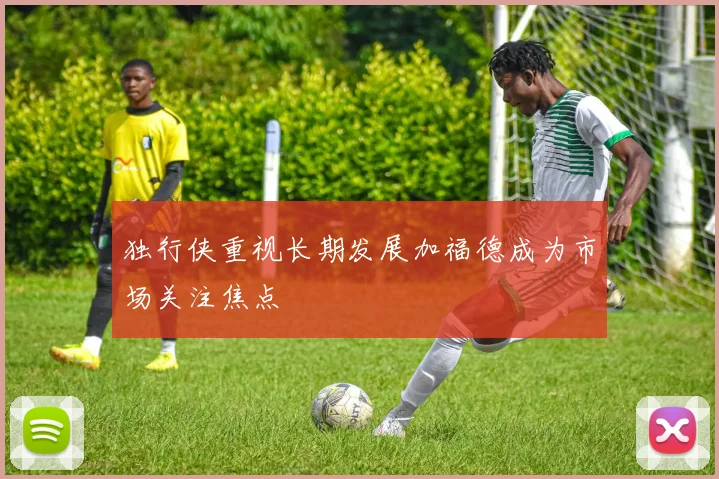 独行侠重视长期发展加福德成为市场关注焦点