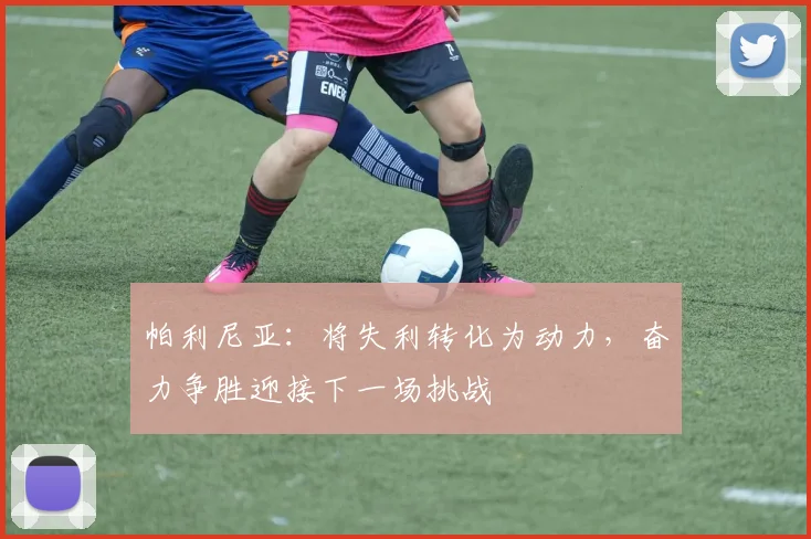 帕利尼亚：将失利转化为动力，奋力争胜迎接下一场挑战