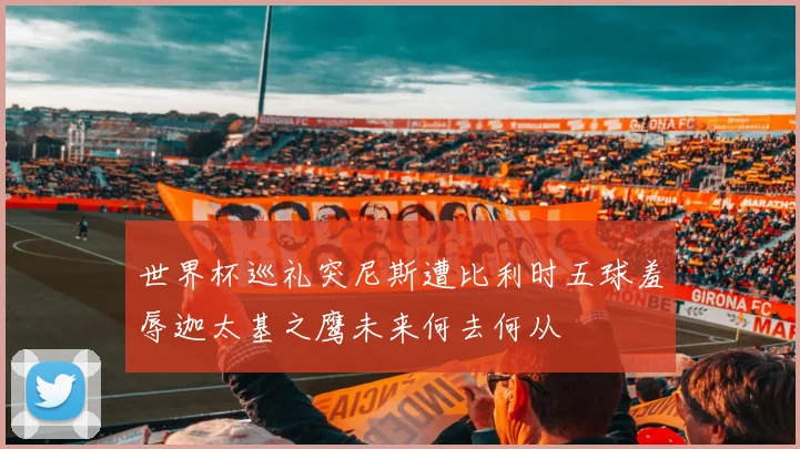 世界杯巡礼突尼斯遭比利时五球羞辱迦太基之鹰未来何去何从
